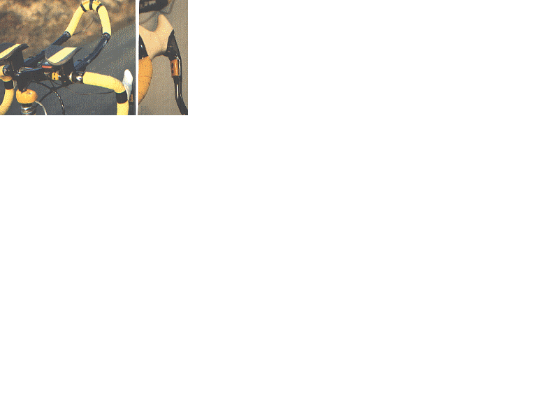 Bic30.gif (25435 bytes)