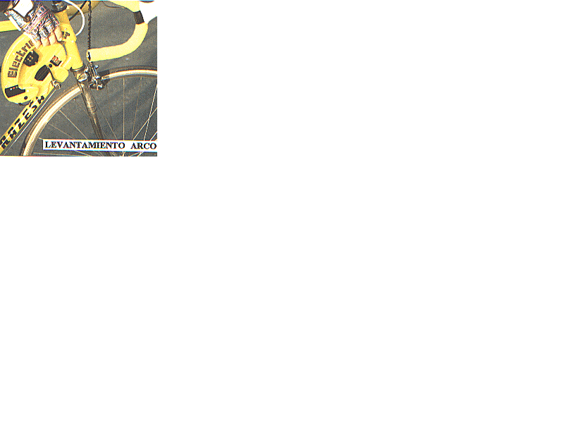 Bic31.gif (33852 bytes)