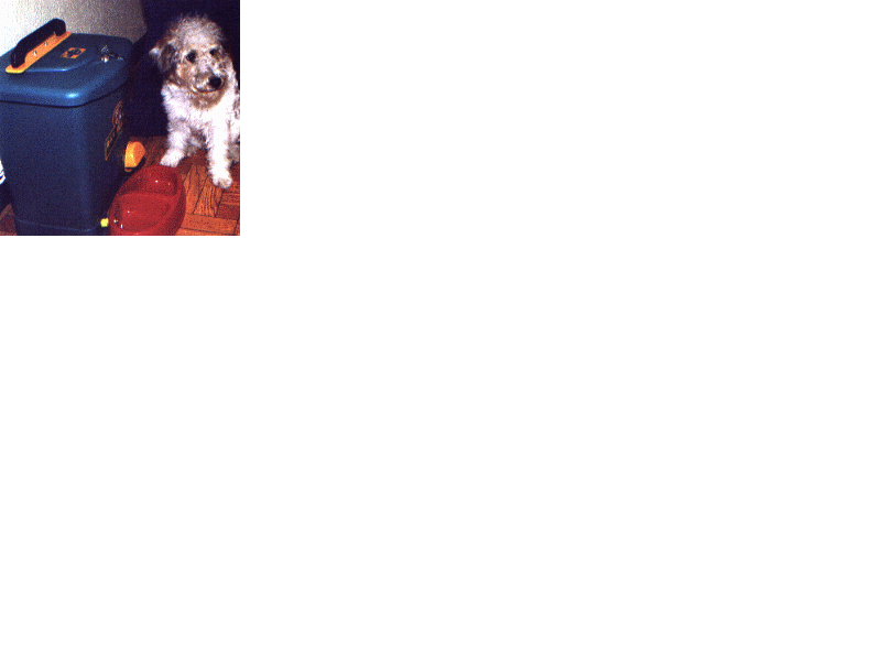 Petfe1.gif (31974 bytes)